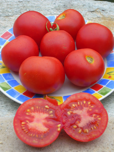 tomates rouges