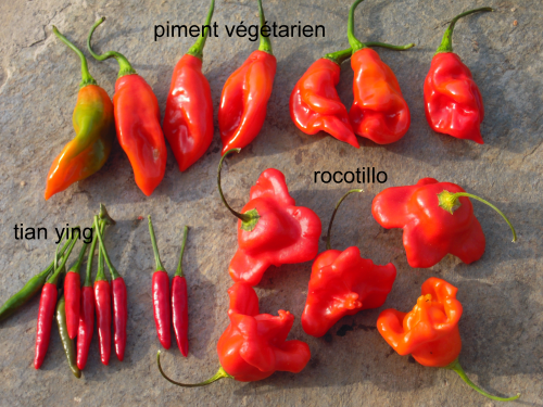 piments